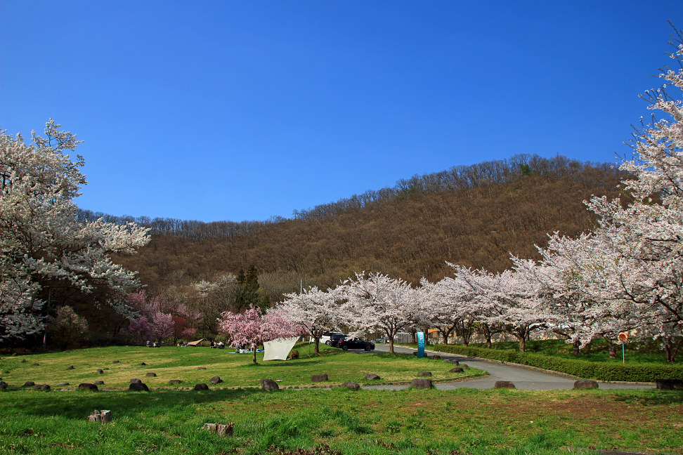 盃山