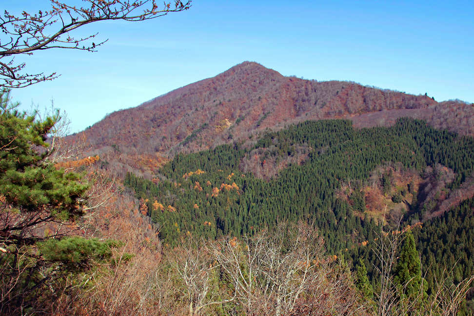 甑岳