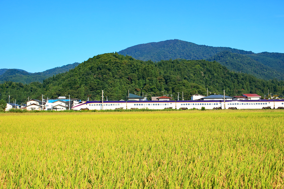 楯山