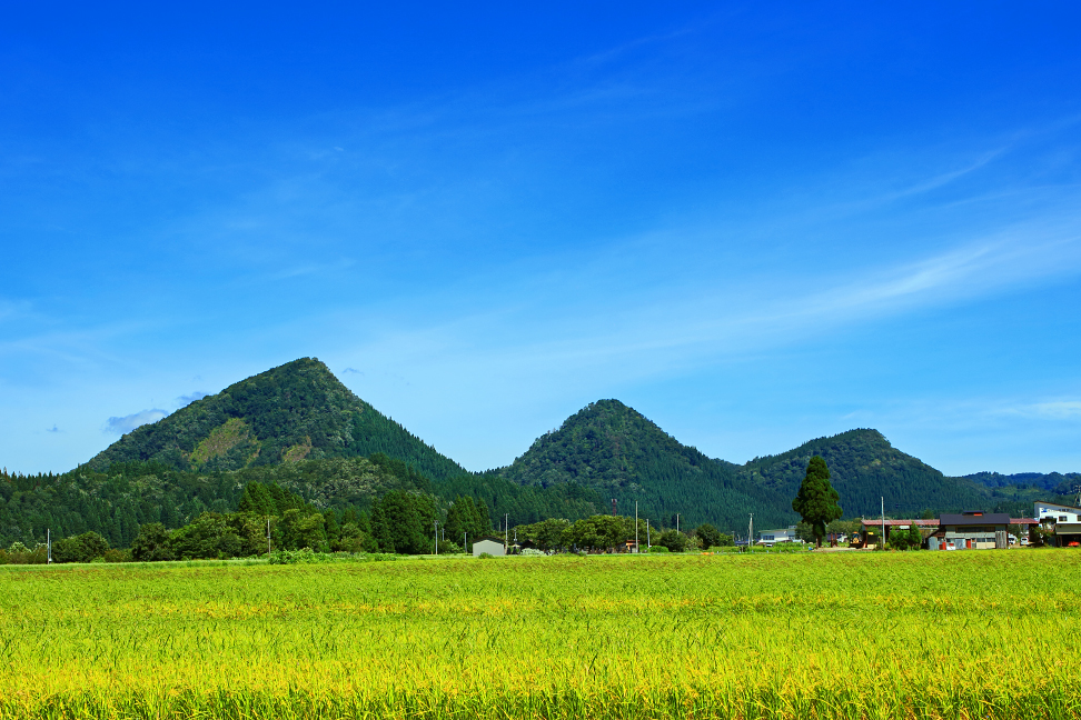薬師山