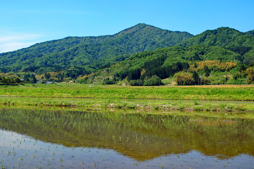 母狩山