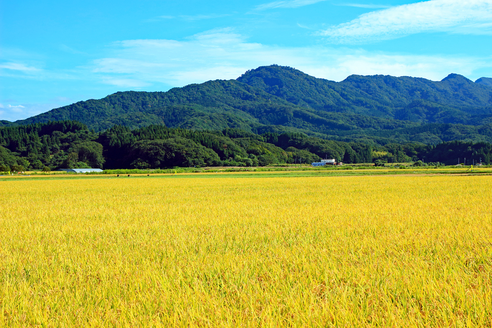 金峯山
