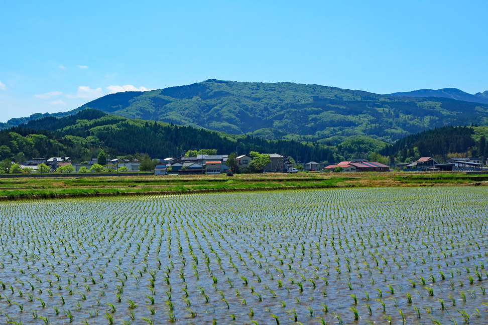 熊野長峰