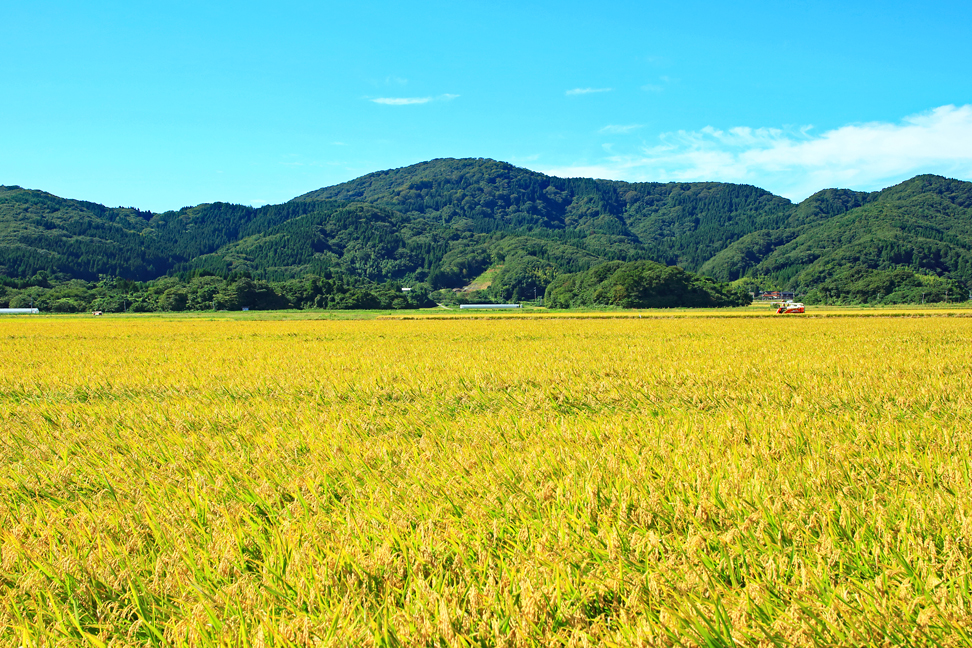 荒倉山