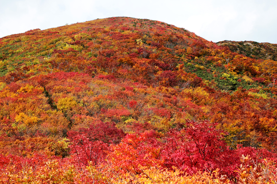 天狗角力取山