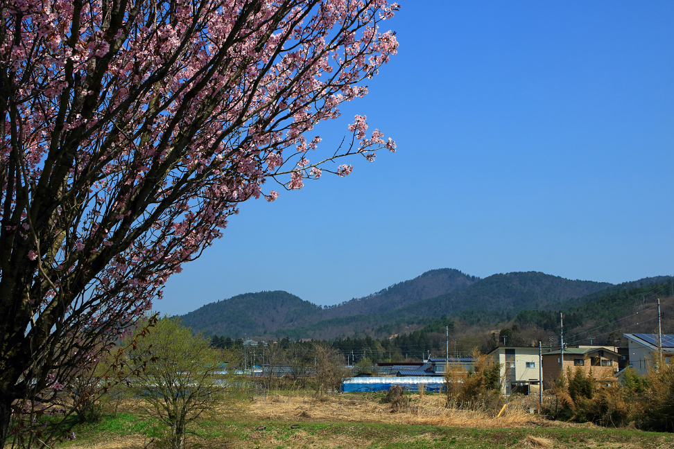 秋葉山