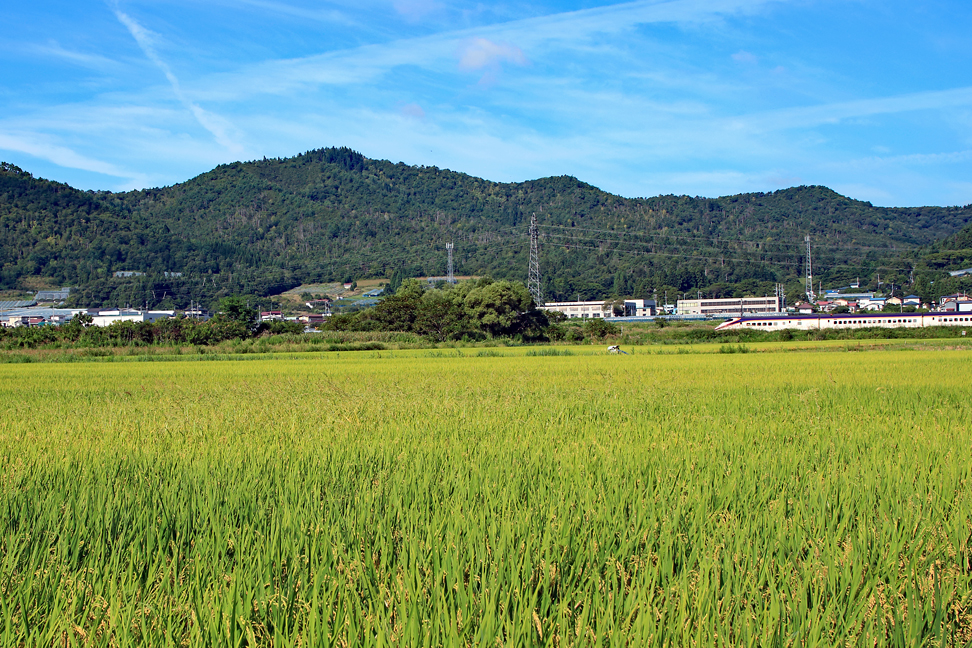 秋葉山