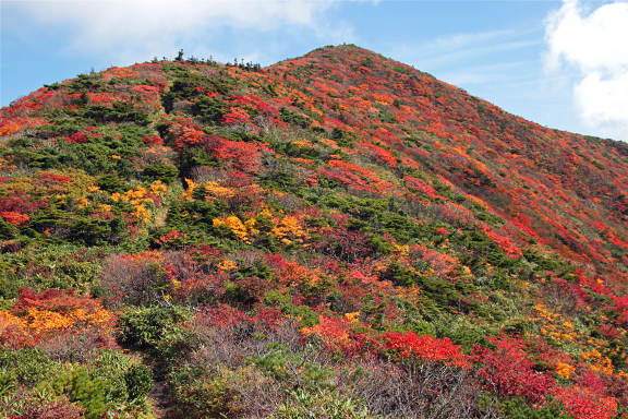 紅葉の水引入道
