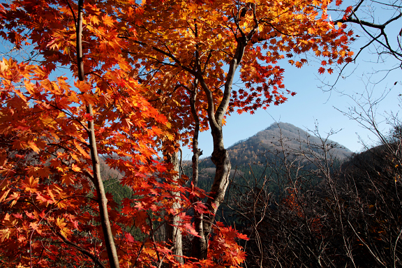 残り紅葉と御堂森