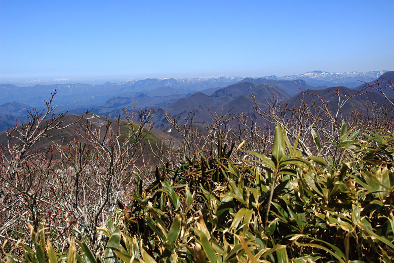 山形神室岳