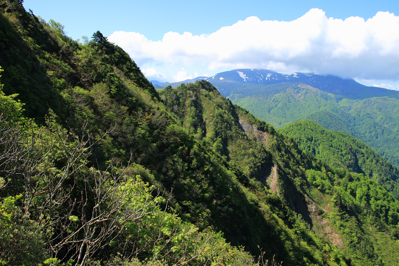雁戸山