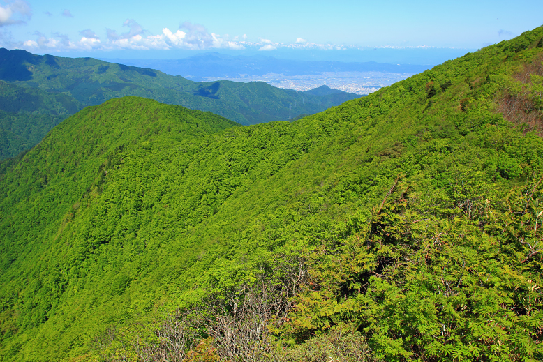 雁戸山