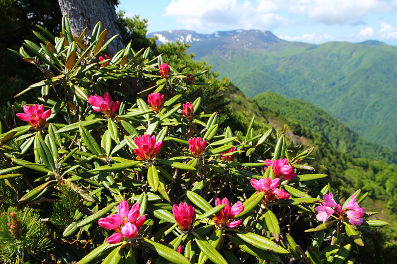 雁戸山