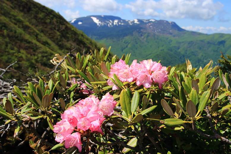雁戸山