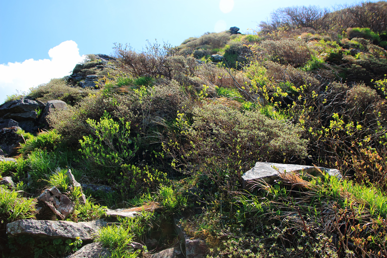 雁戸山