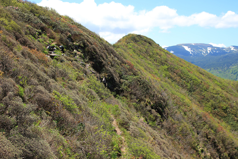 雁戸山
