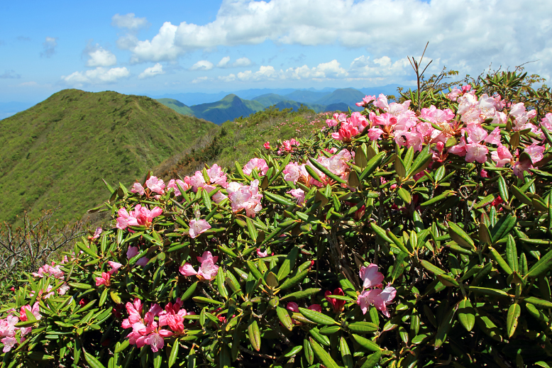 雁戸山
