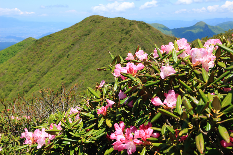 雁戸山