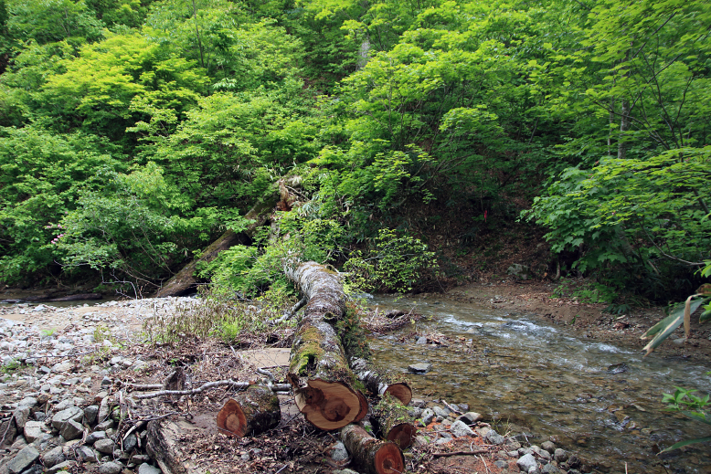 障子ヶ岳