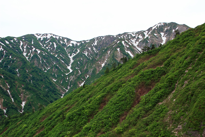障子ヶ岳