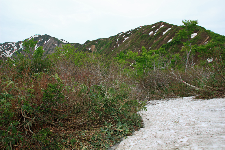 障子ヶ岳
