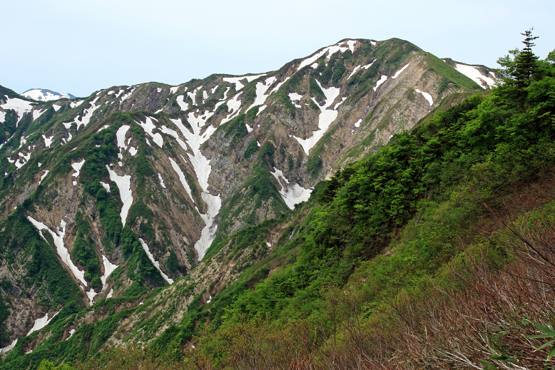 障子ヶ岳