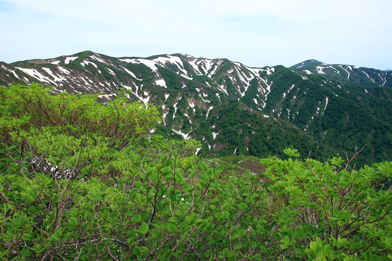 障子ヶ岳