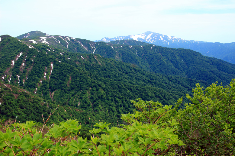 障子ヶ岳