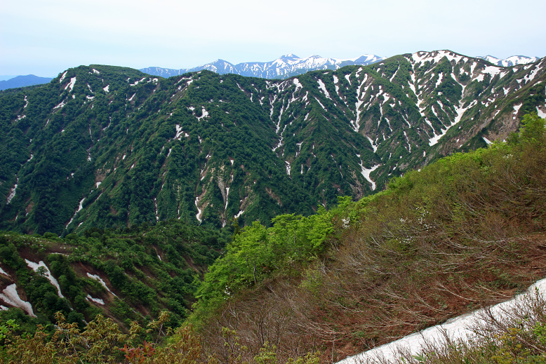 障子ヶ岳