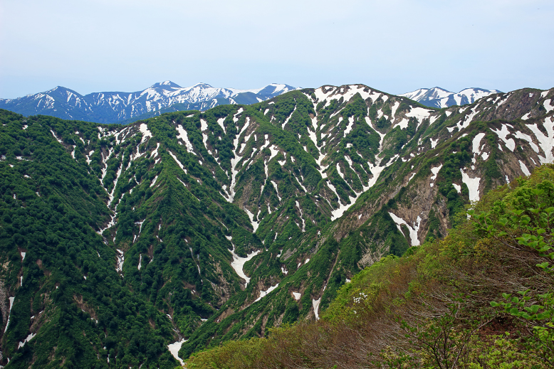 障子ヶ岳