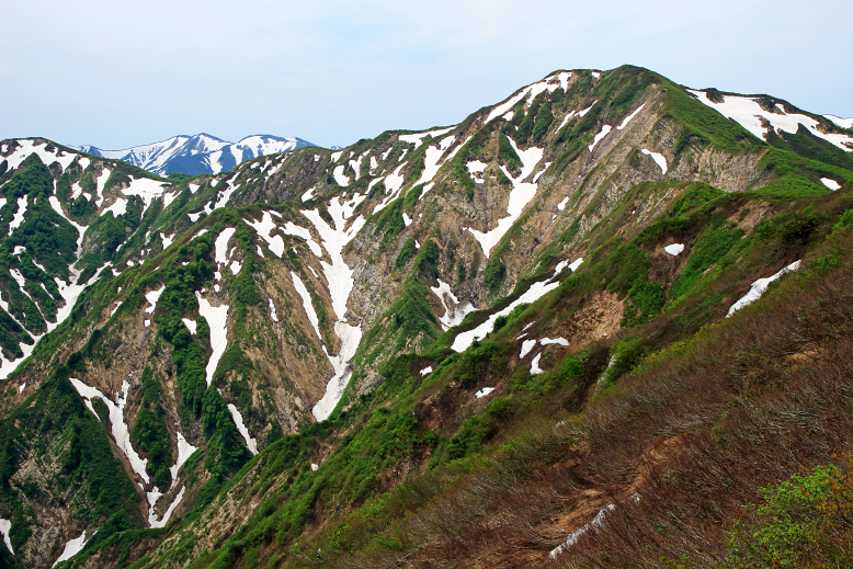 障子ヶ岳
