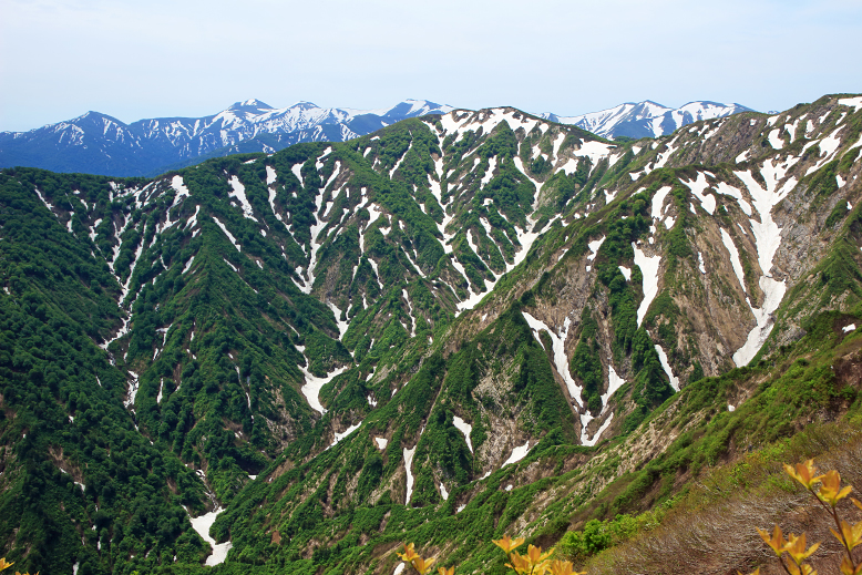 障子ヶ岳