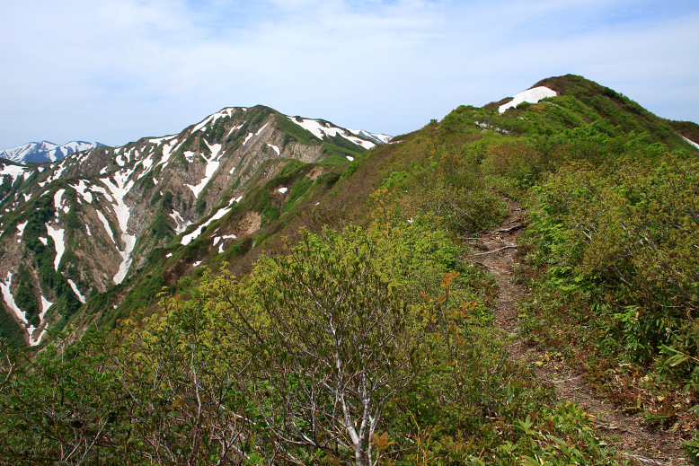 障子ヶ岳