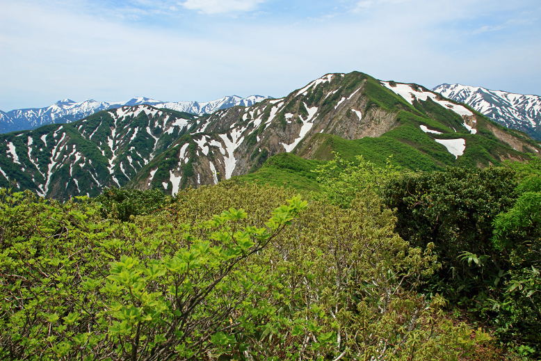 障子ヶ岳