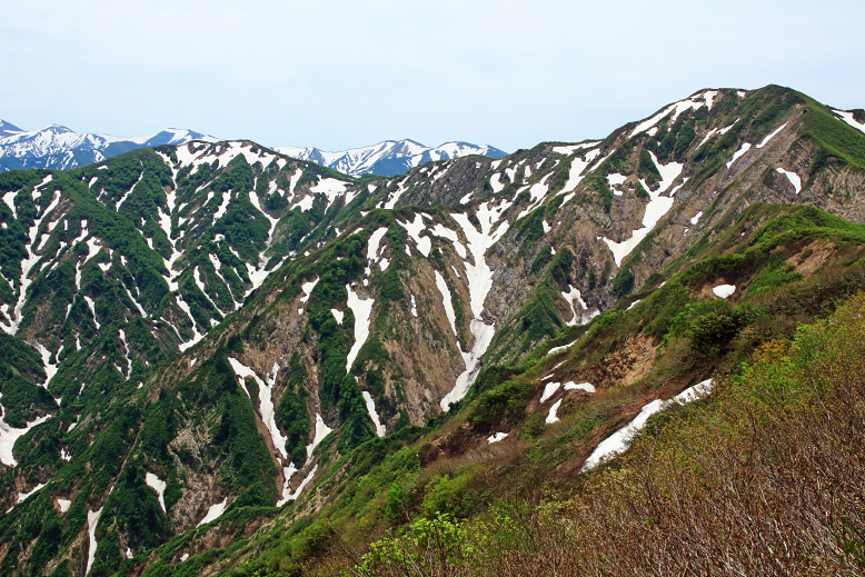 障子ヶ岳