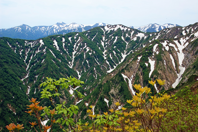 障子ヶ岳