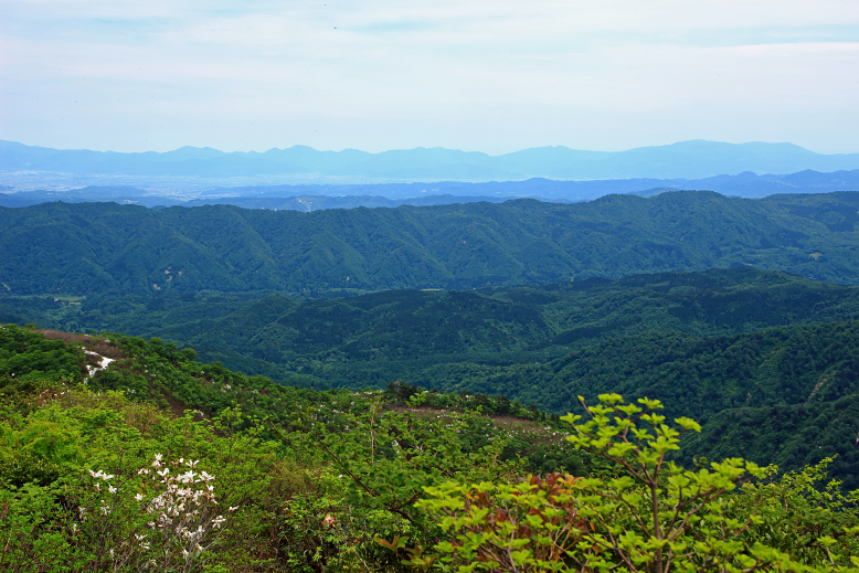 障子ヶ岳