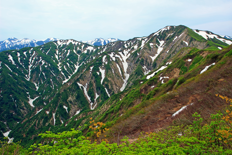 障子ヶ岳