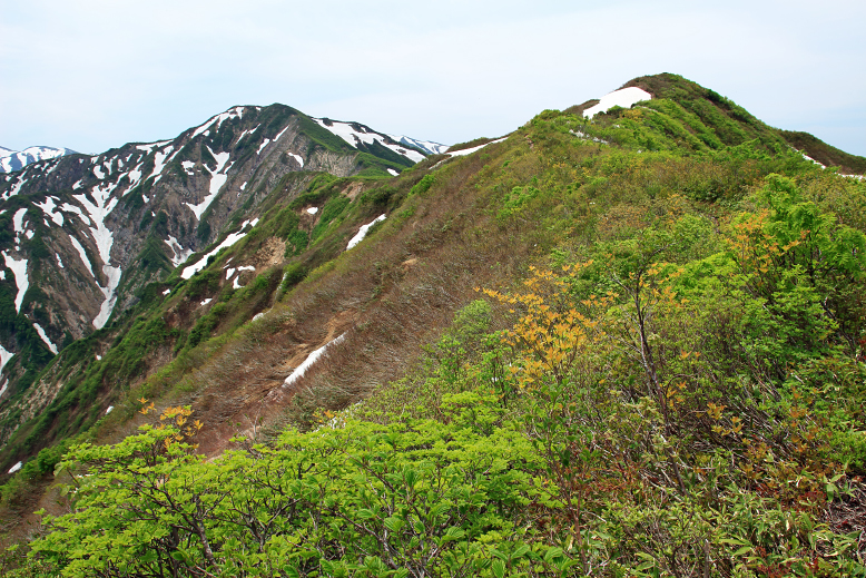 障子ヶ岳