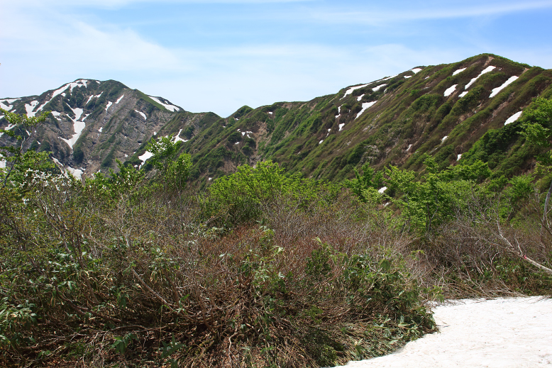障子ヶ岳