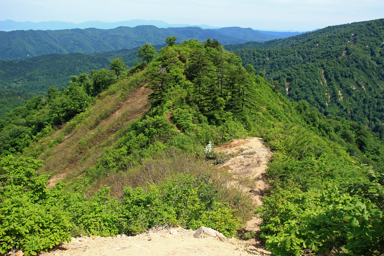 障子ヶ岳