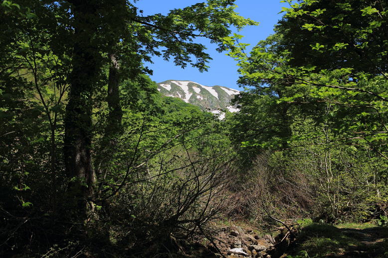 湯殿山