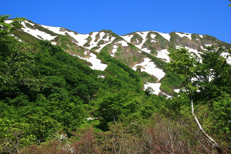 湯殿山