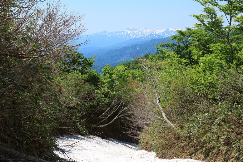 湯殿山