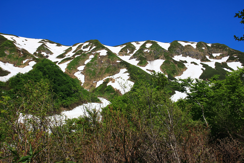 湯殿山