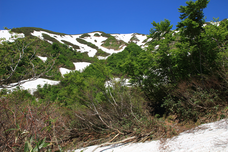 湯殿山
