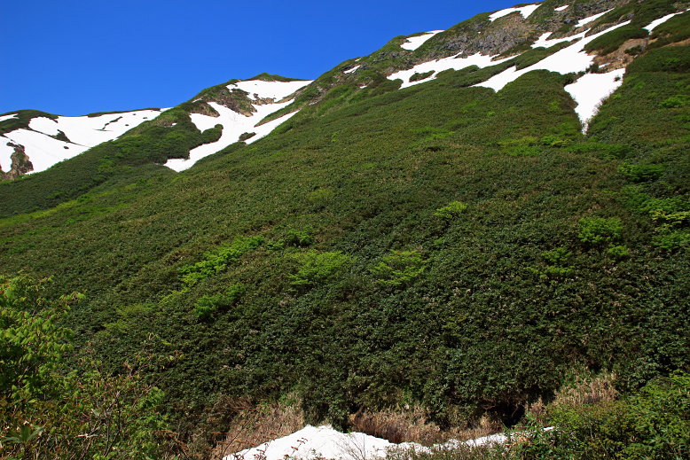 湯殿山