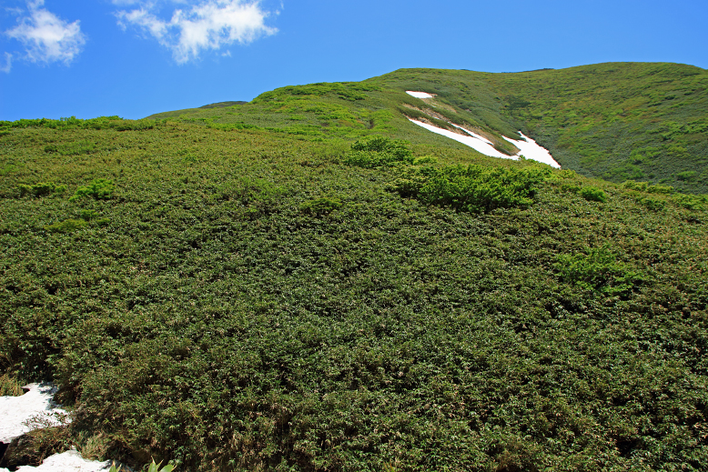 湯殿山