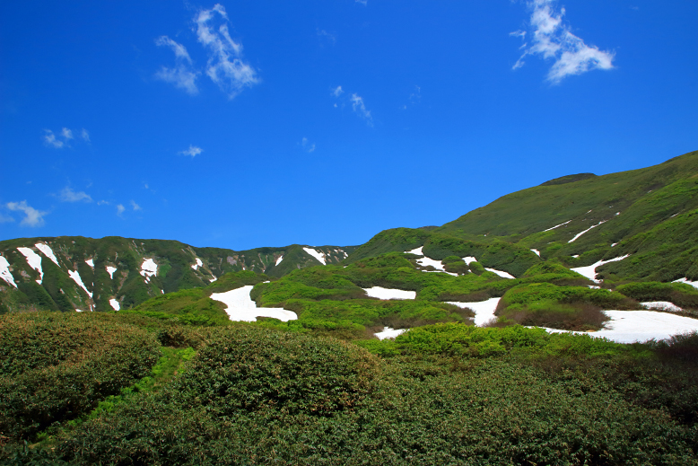 湯殿山