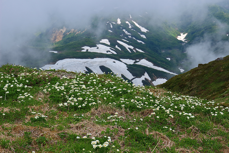 月山